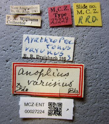 Media type: image;   Entomology 27224 Aspect: labels